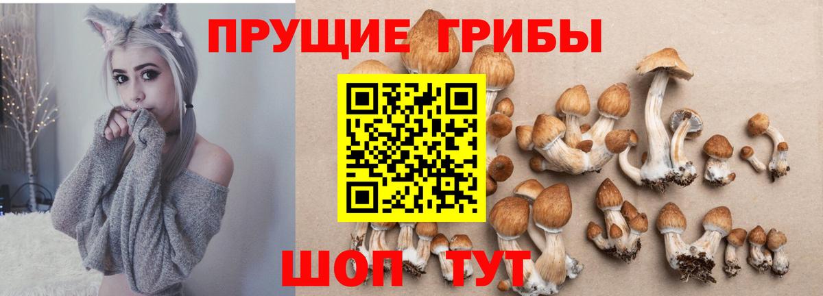 Галлюциногенные грибы MAGIC MUSHROOMS  Галлюциногенные грибы Cubensis  Анжеро-Судженск  Вход с VPN 
